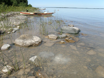 On the islet